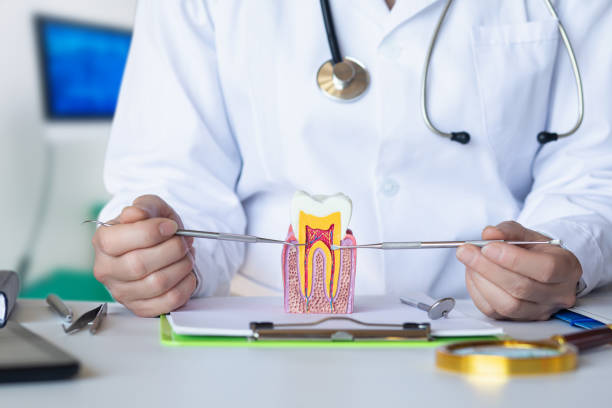 Best Emergency Dentist for Lost Fillings or Crowns in Payson, IL